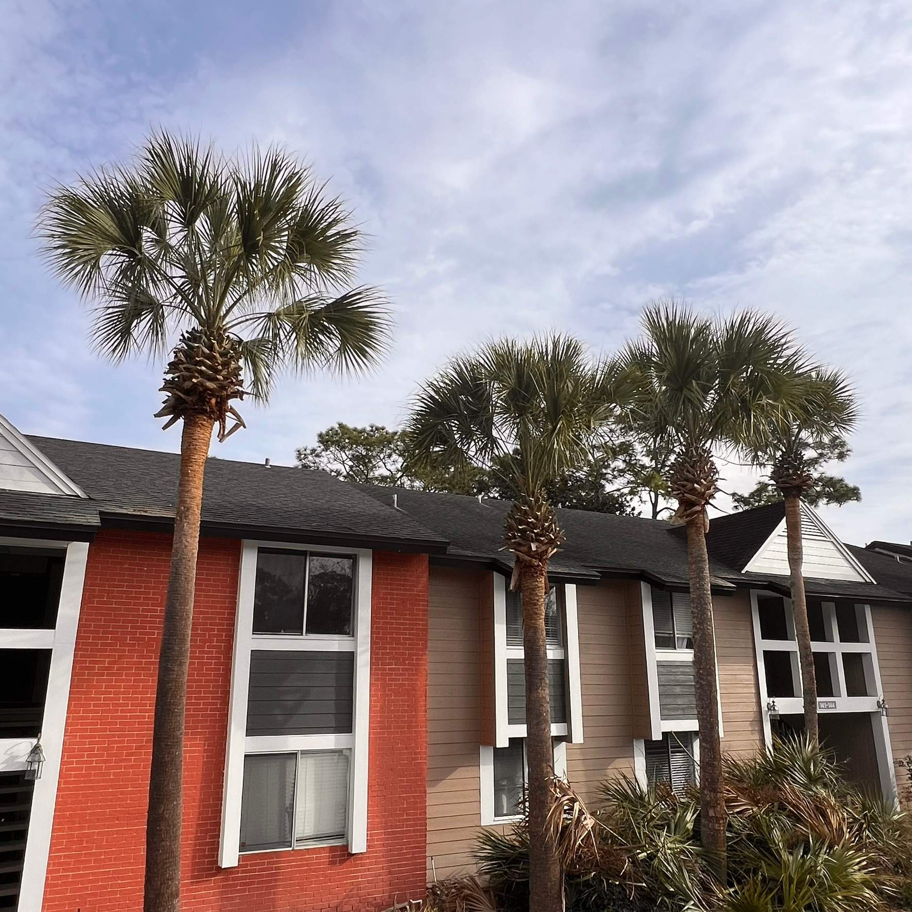 Tree Trimming | Preserve at San Jose by ProGreen Services