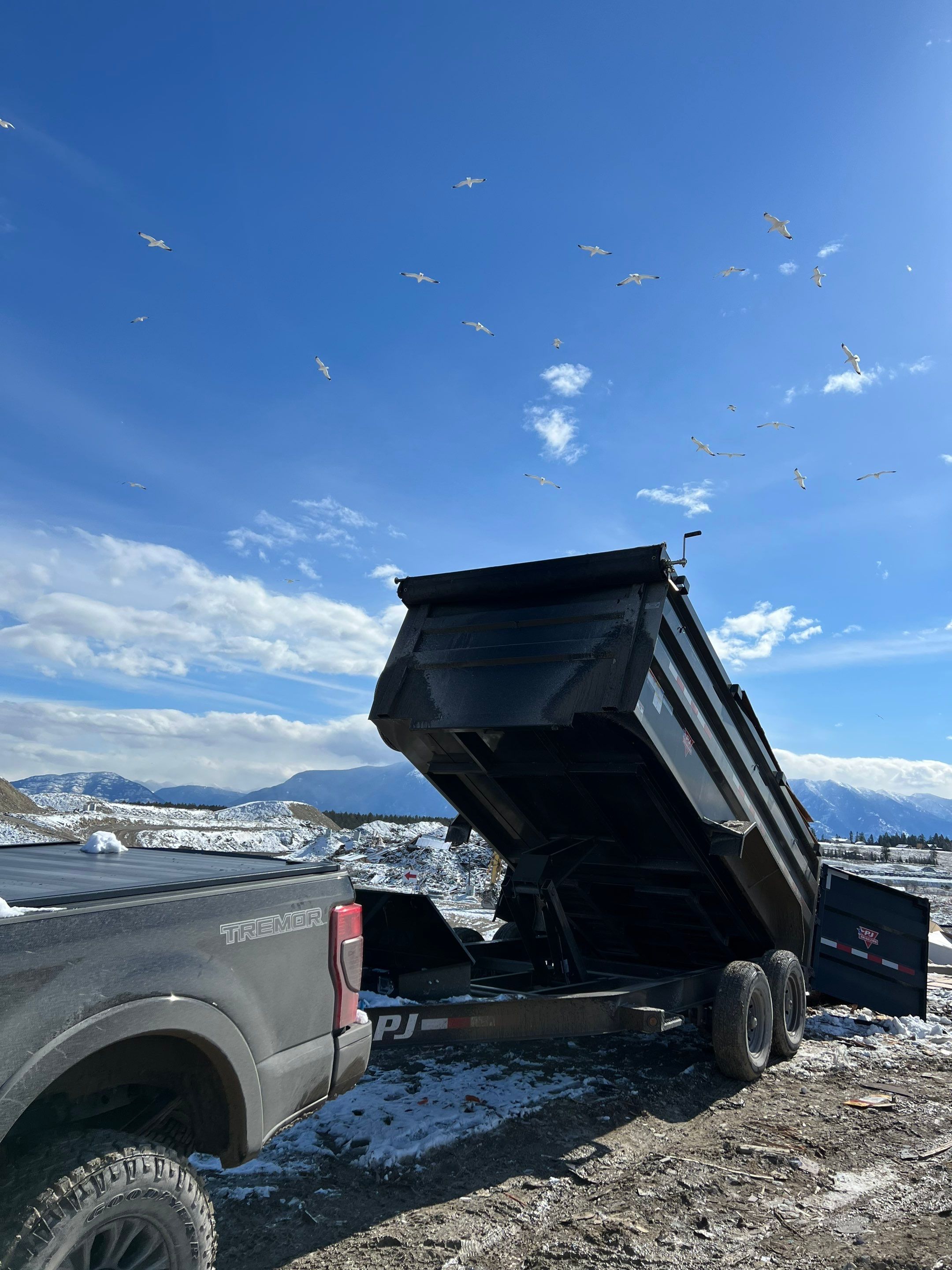 GAF Timberline HDZ - Hunter Green by Montana Roofing Solutions