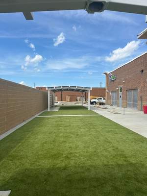PetSuites in Westfield K9Grass