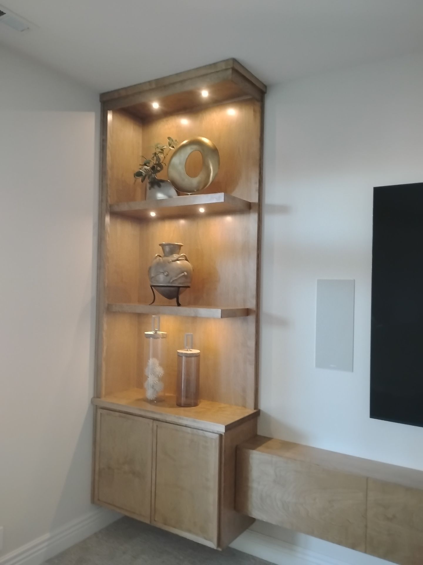 Home Remodel by Abe Electric 