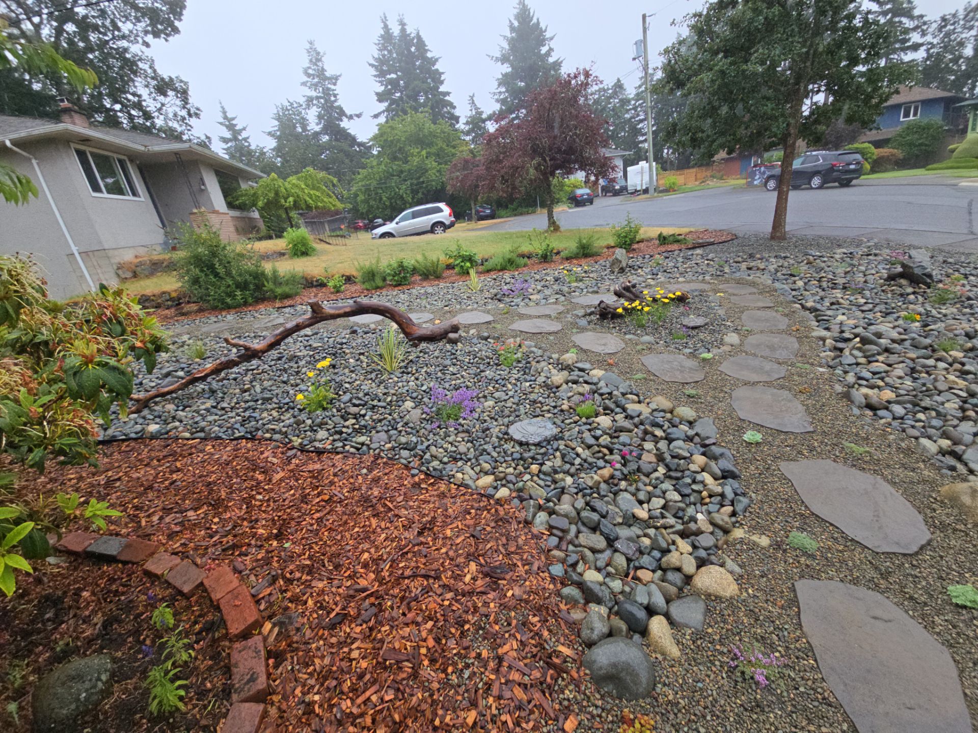 Front Yard Ecological Conversion – A West Coast-Inspired Low-Maintenance Oasis by Habanero Garden and Exterior Care