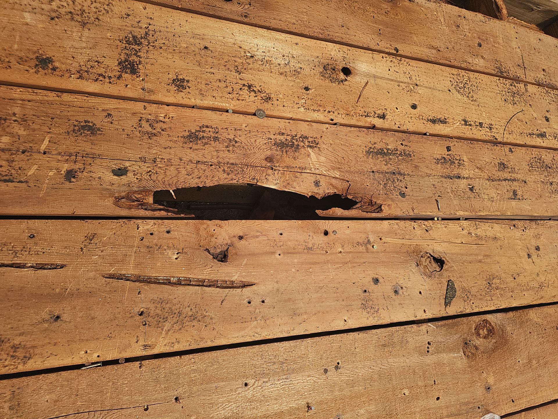 Project in St. Petersburg 33702 by Mitchell Roofing Company LLC 