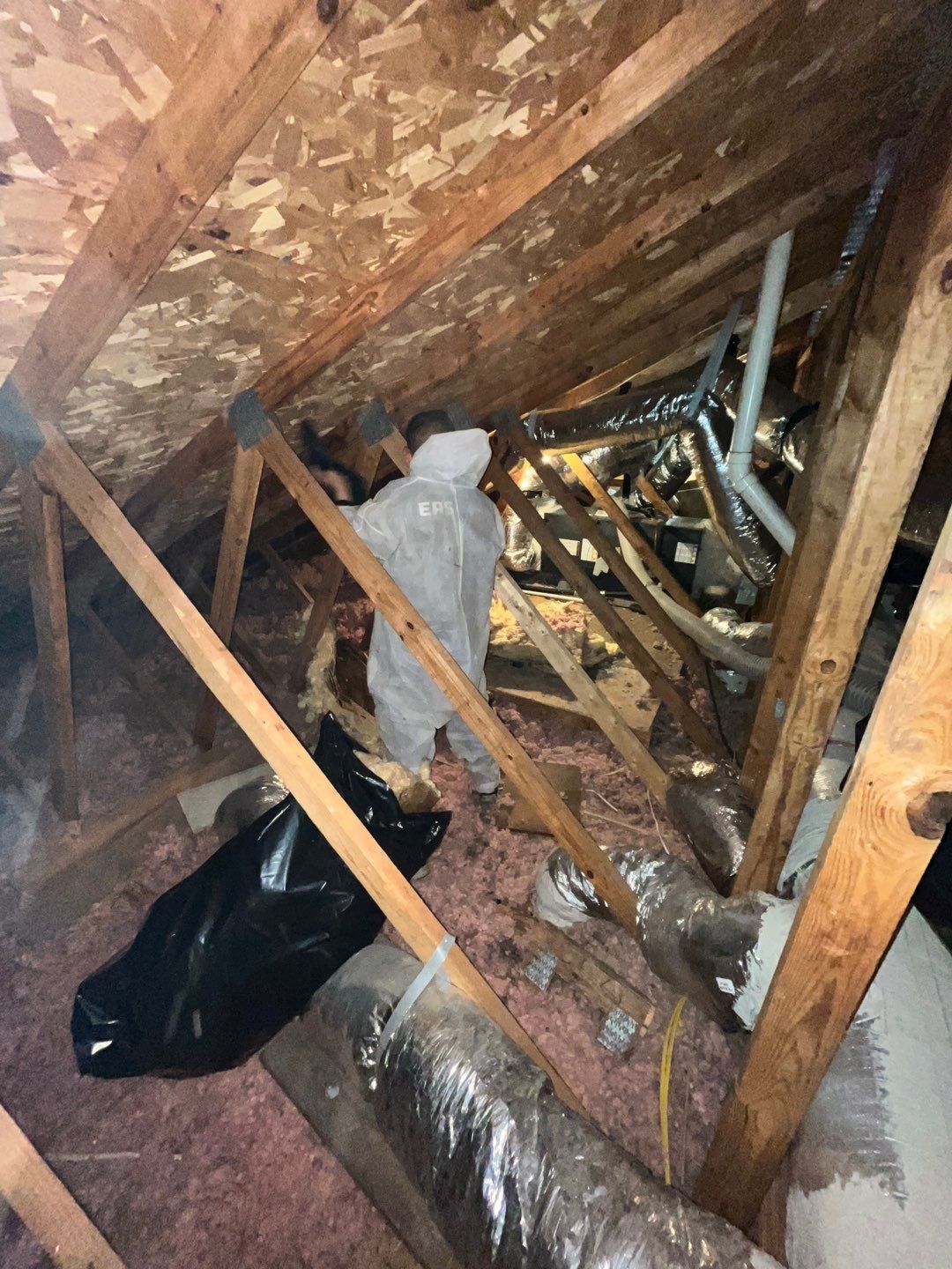 Insulation Removal by EAS Environmental, LLC.