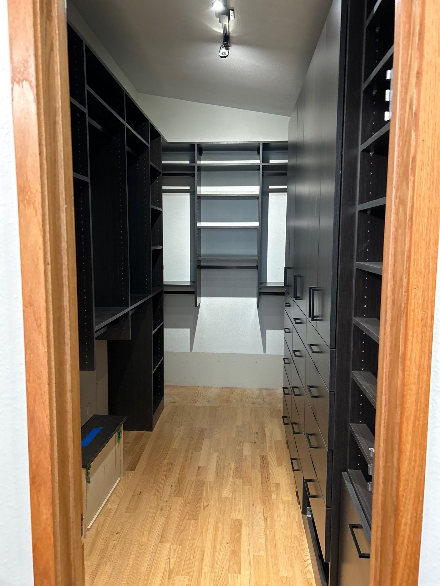 Black Riftwood Primary Closet in Centennial by Concept 32, Inc.