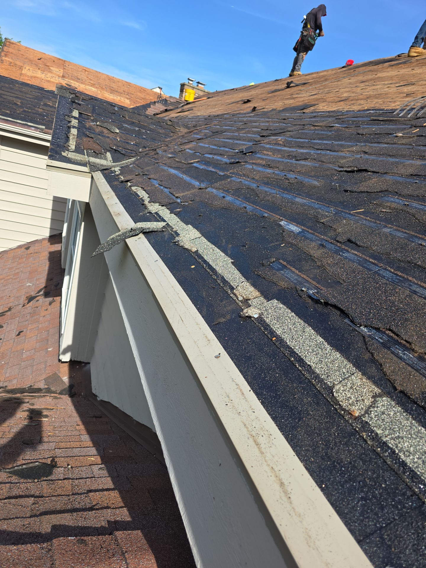 Oak Brook Architectural Shingle Roof Replacement and Velux Skylight Upgrade by Roof One