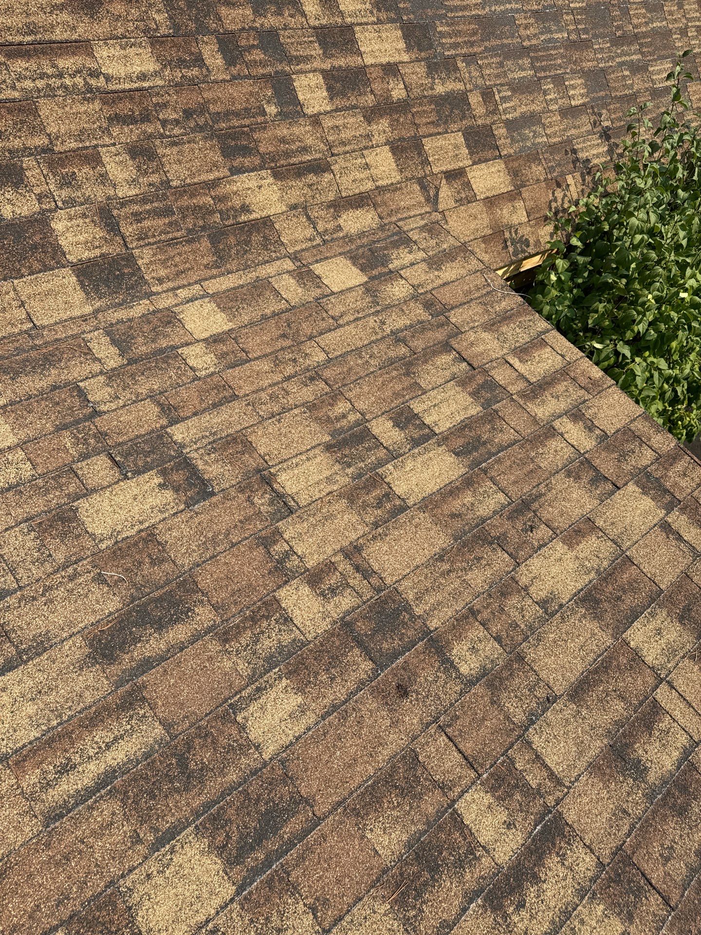Architectural Shingle Roof Replacement for Boise Log Cabin Home by Olive Roofing
