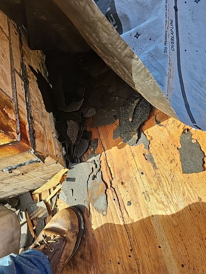 ATLAS PINNACLE COLOR: SUMMER STORM DRIP EDGE: WHITE by Eagle Eye Roofing