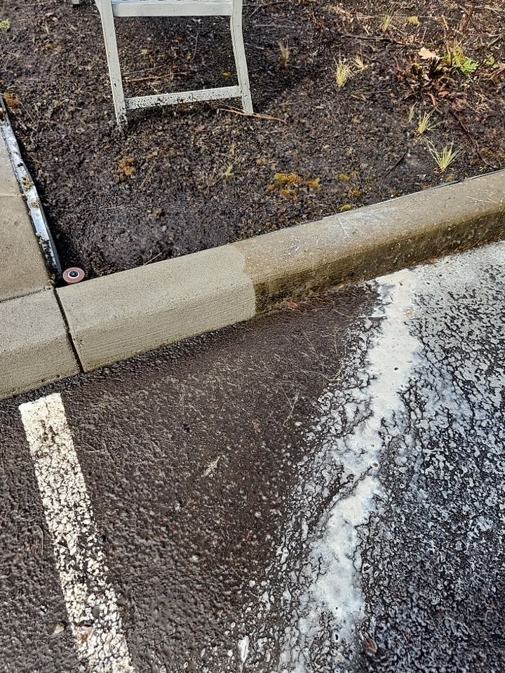 Soft Wash using Soft wash solution by Willamette Outdoor Wash LLC