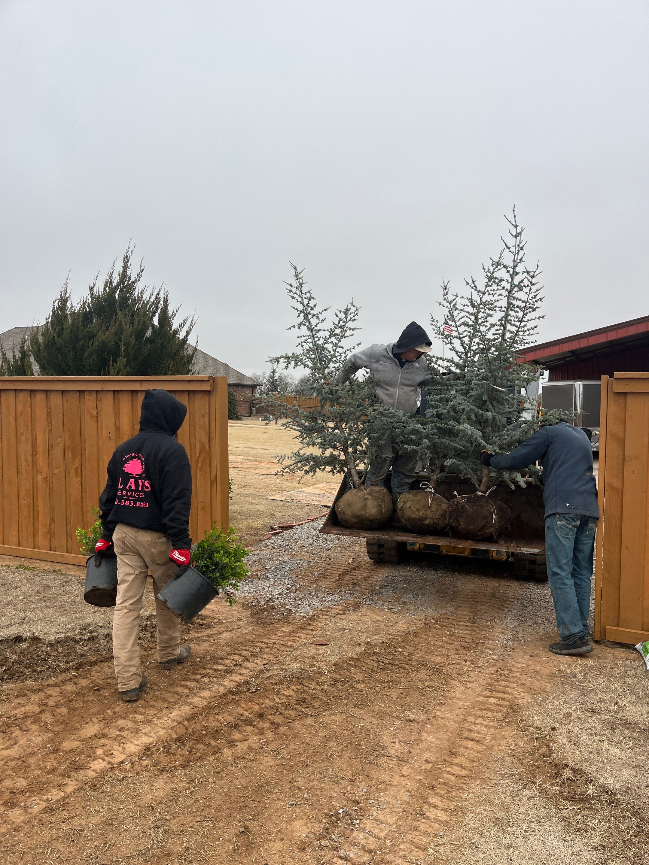 Landscape installation w/ irrigation and landscape lighting by Clays Services Inc