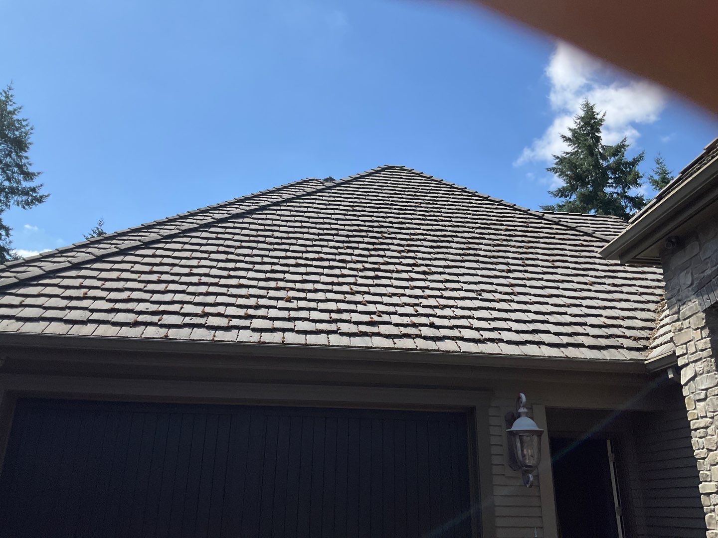 Moss Removal/ Treatment using Biocide by Willamette Outdoor Wash LLC