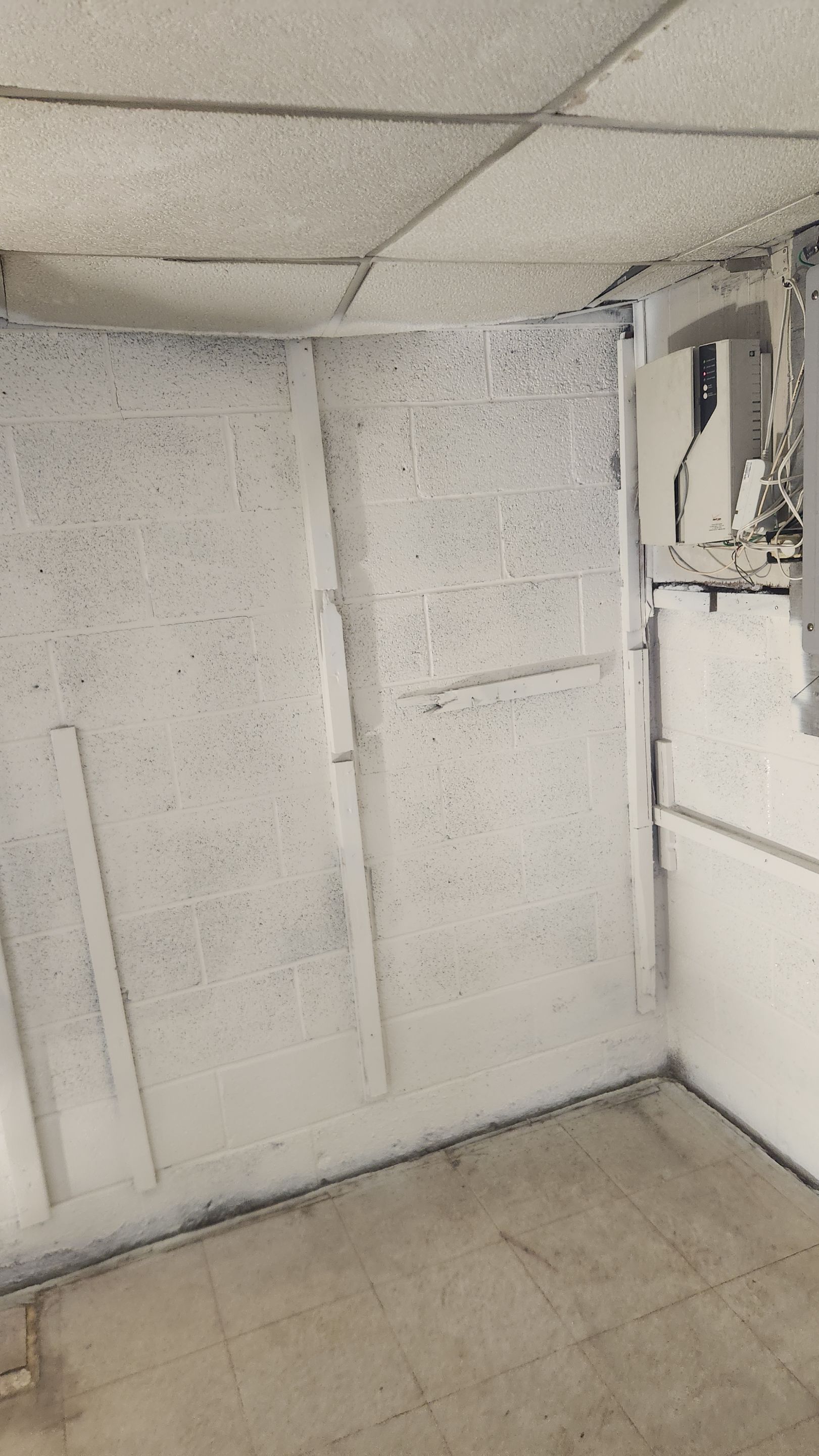 Interior French Drain & Mold Remediation Project in Manville, New Jersey by Pure Service Pro, LLC 
