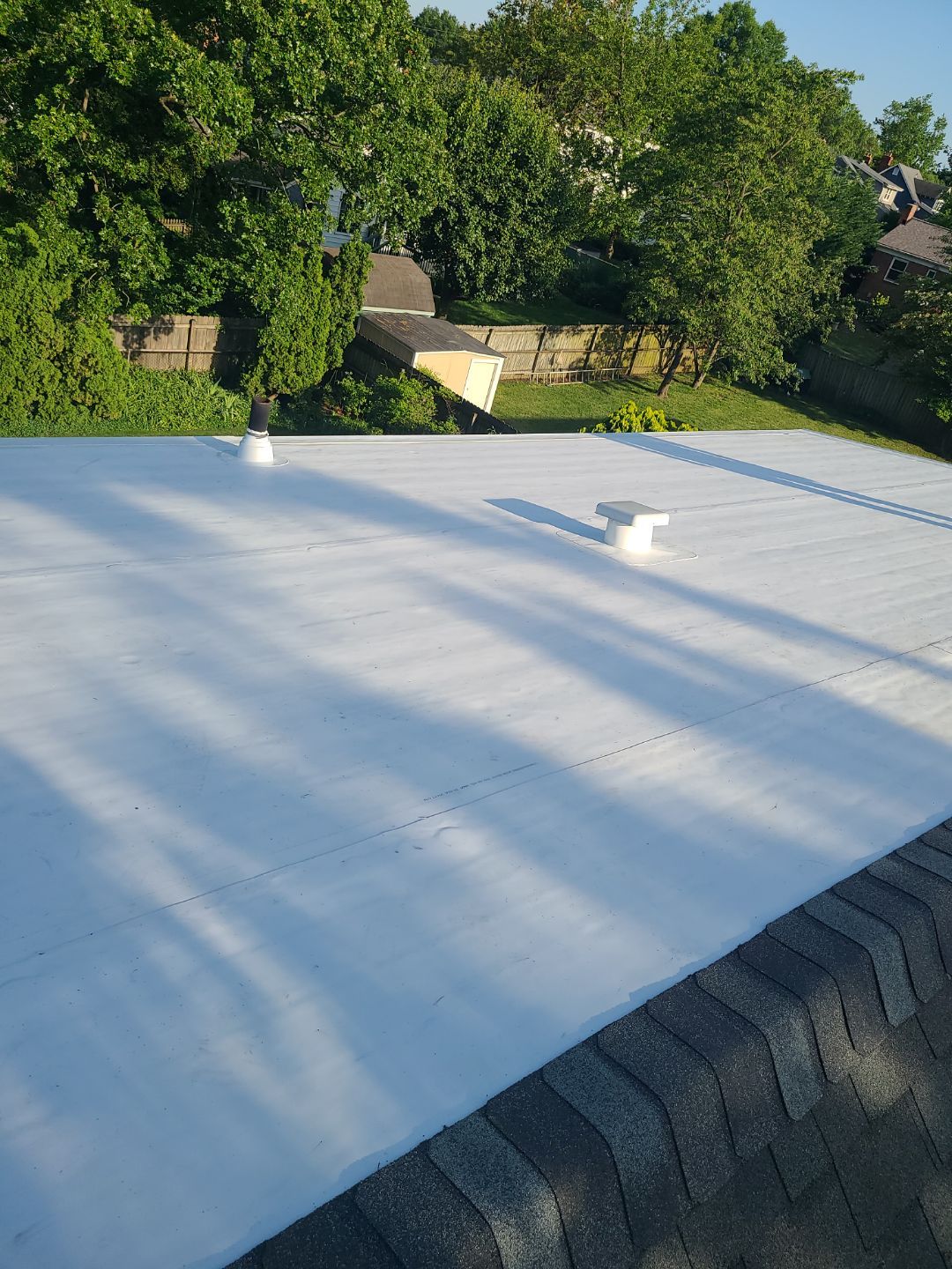 Alexandria: Mule Hide TPO Flat Roof by RM Banning, Inc.