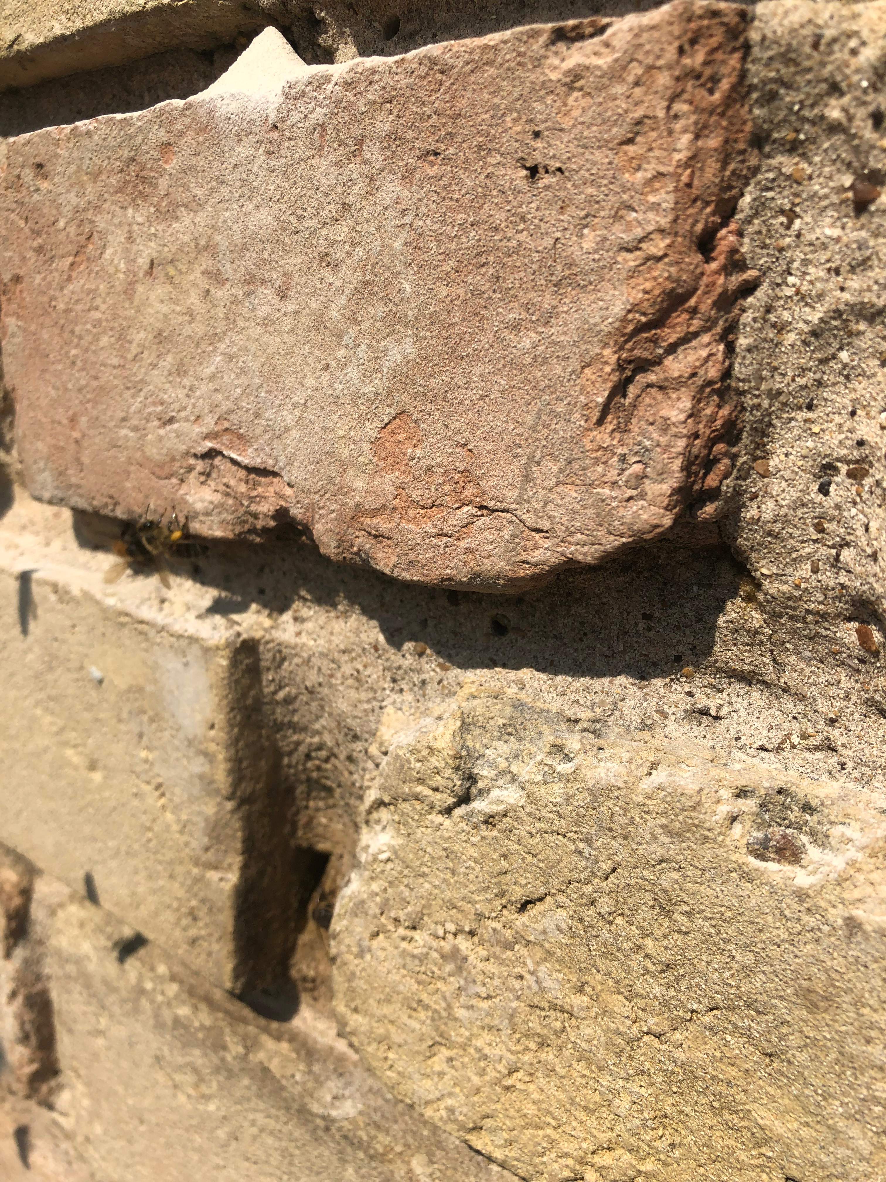 Chimney by Rockwall Honey Bee Company