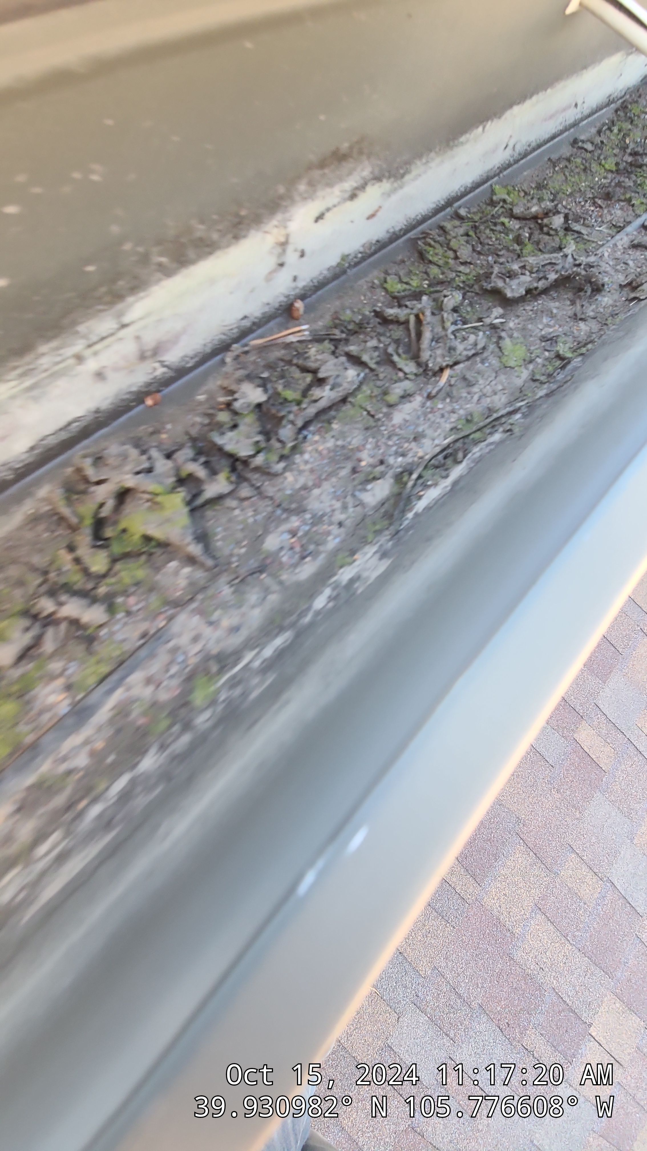 Gutter Cleaning by Wheatley Creek Services