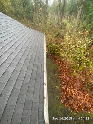 Project in Fall City
