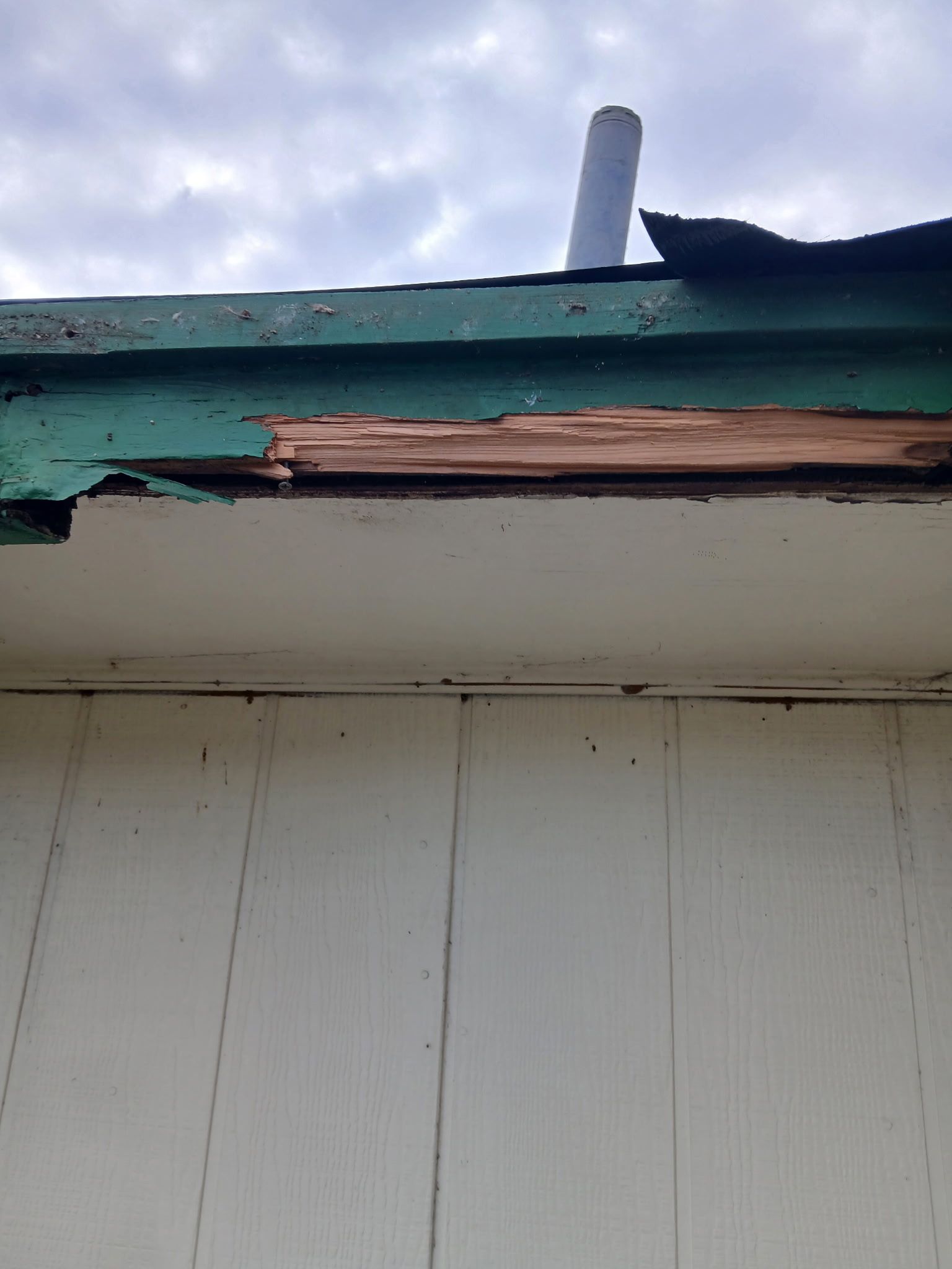 [Almost] All Trades by REPS Austin Area Roofer