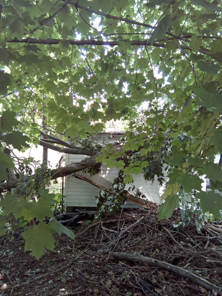 Storm Damaged Tree Removal  using Tree Removal by Mike Jones & Sons Tree Service LLC 