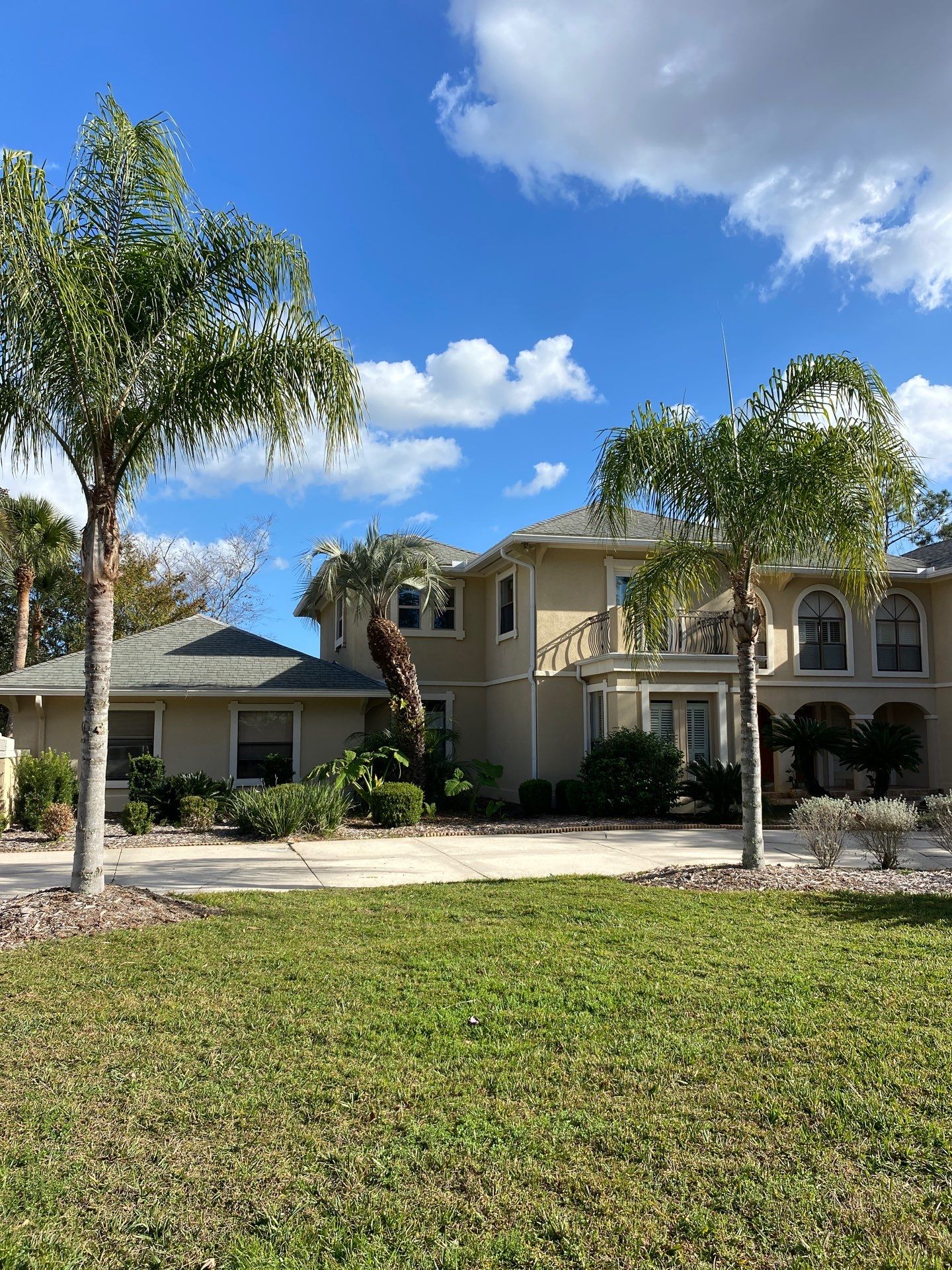 Deerwood Resident | Tree Removal & Palm Trimming by ProGreen Services