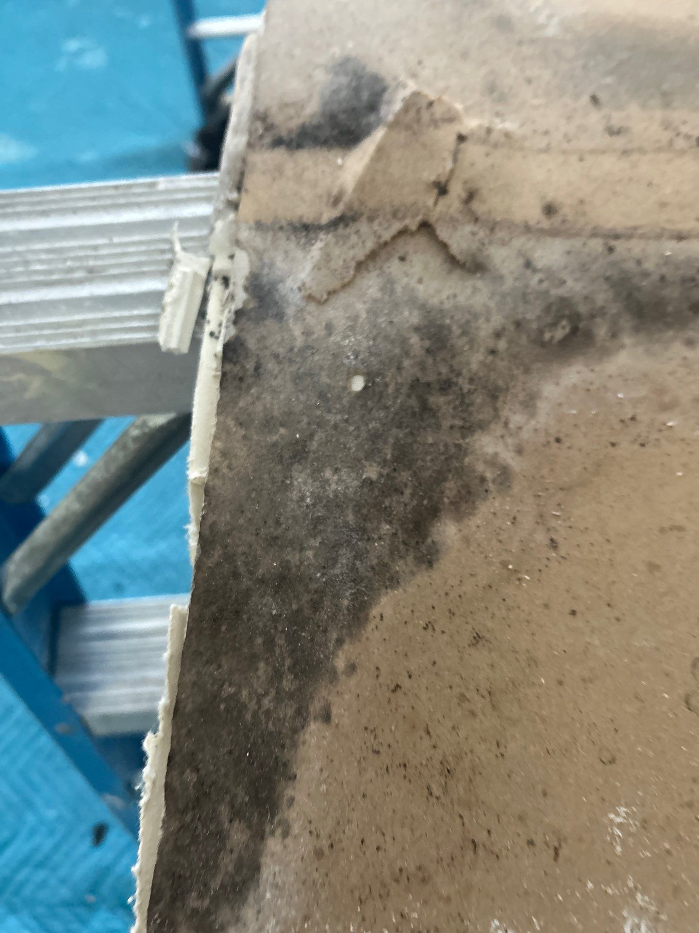 Water Damage Restoration & Repair In Anna Maria, FL by Ampm Restoration Services