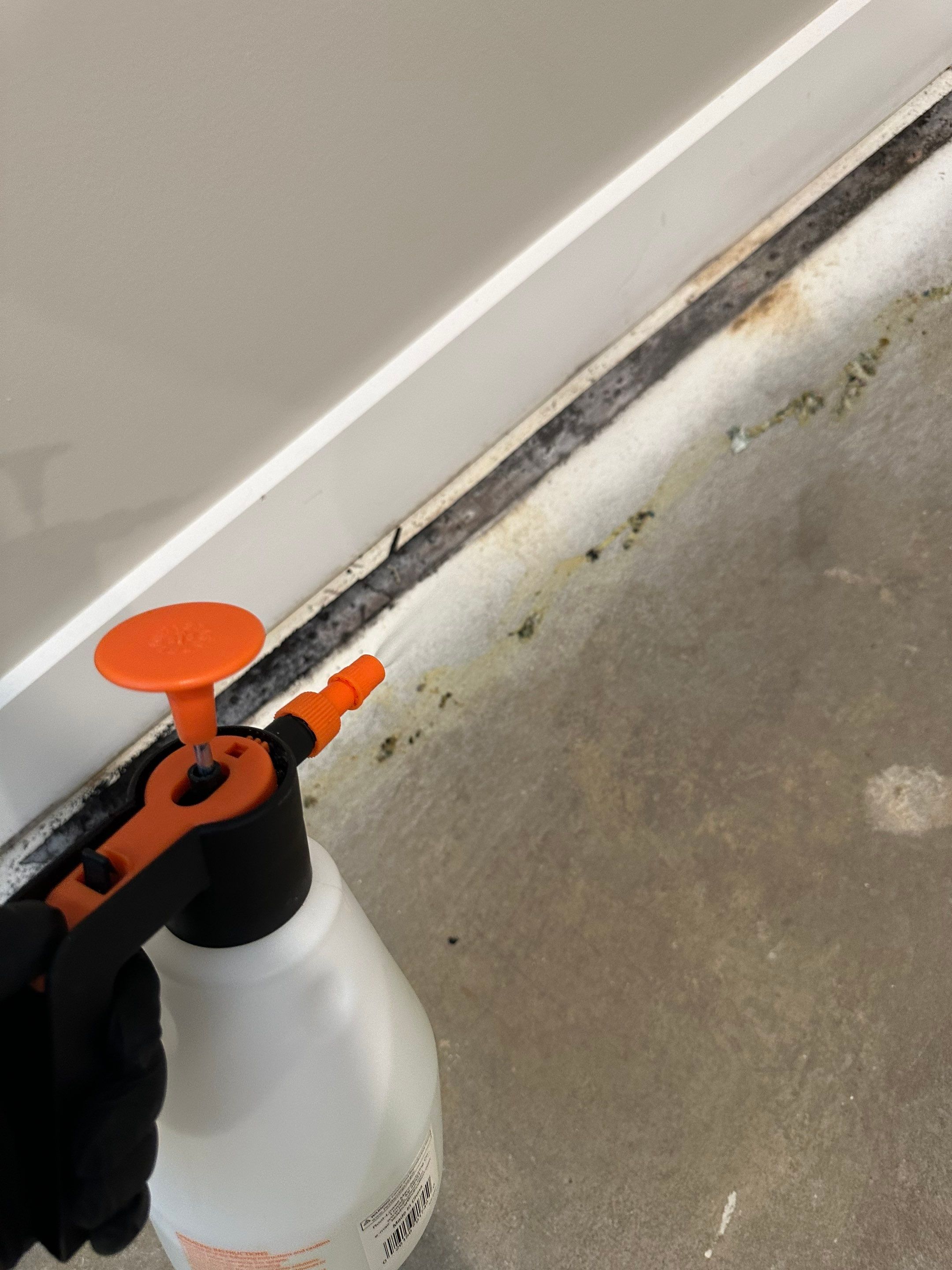 Foundation leak long term damage in new build home by BlueRed Restoration
