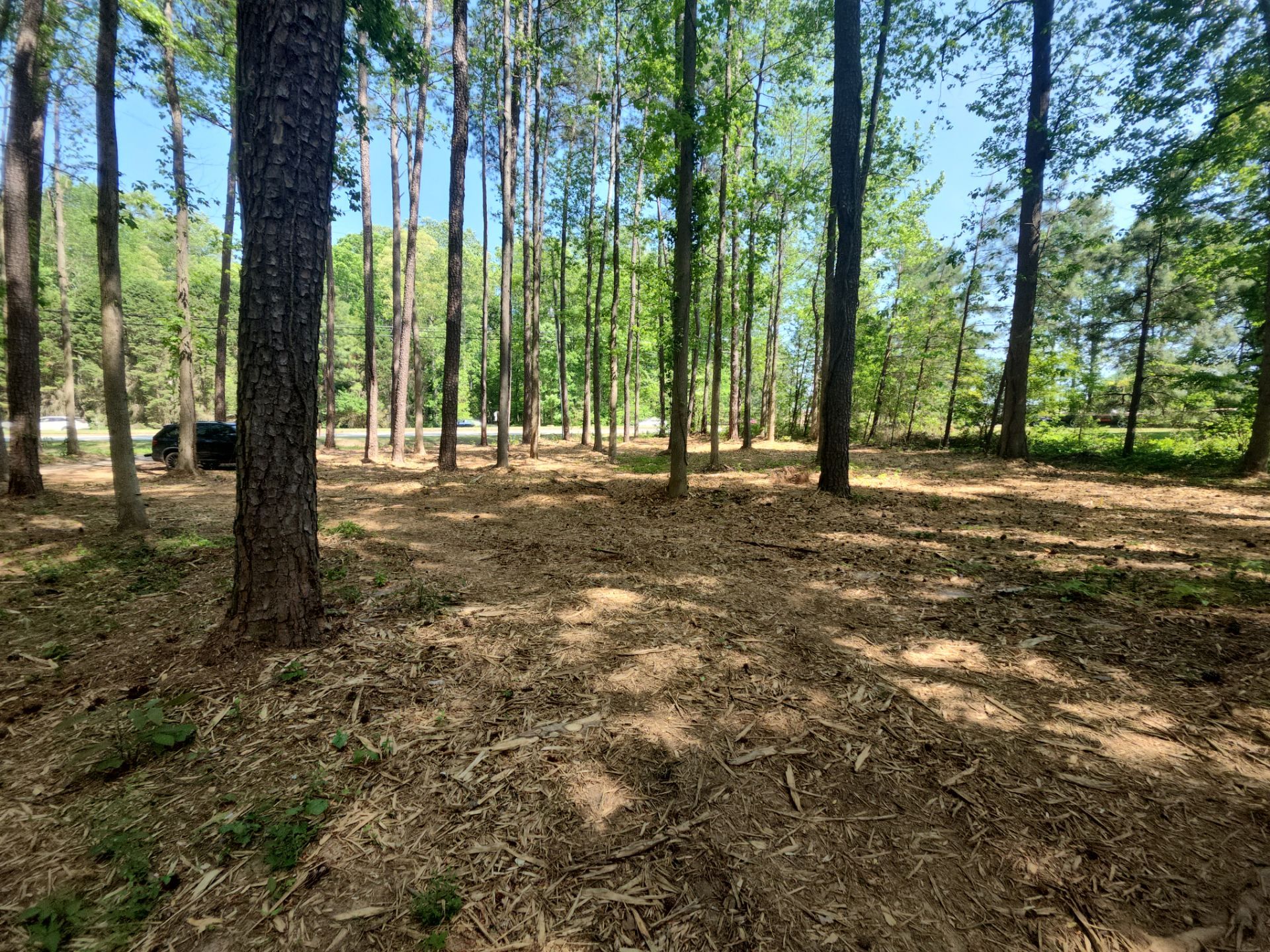 Project in Fayetteville, GA by Task Masters Handyman Services, LLC