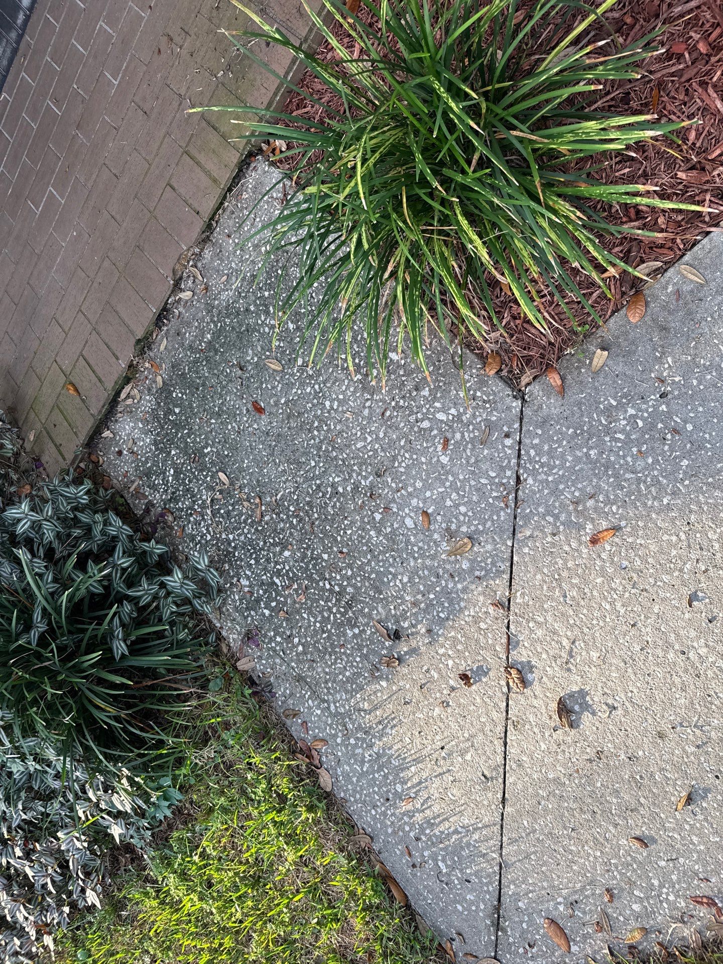 Concrete Driveway & Sidewalk Cleaning in Valrico, FL by Sunshine AquaWash