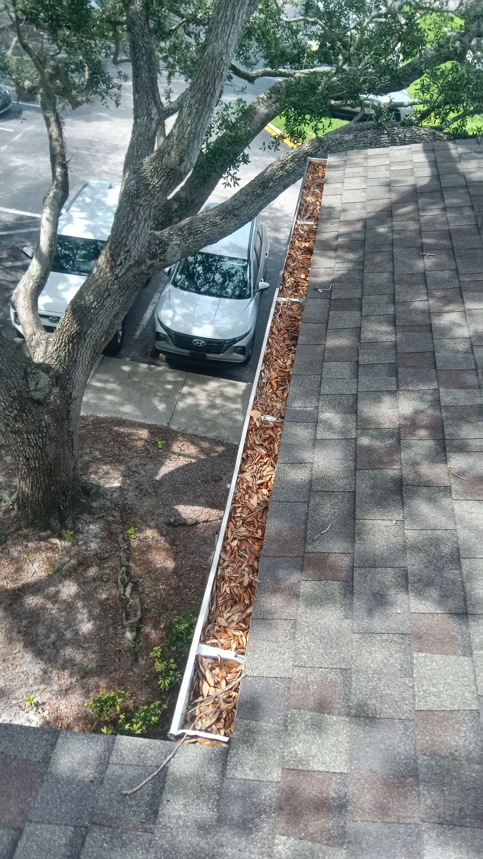Commercial gutter cleaning Winter Haven & Haines City before photo with filled gutters