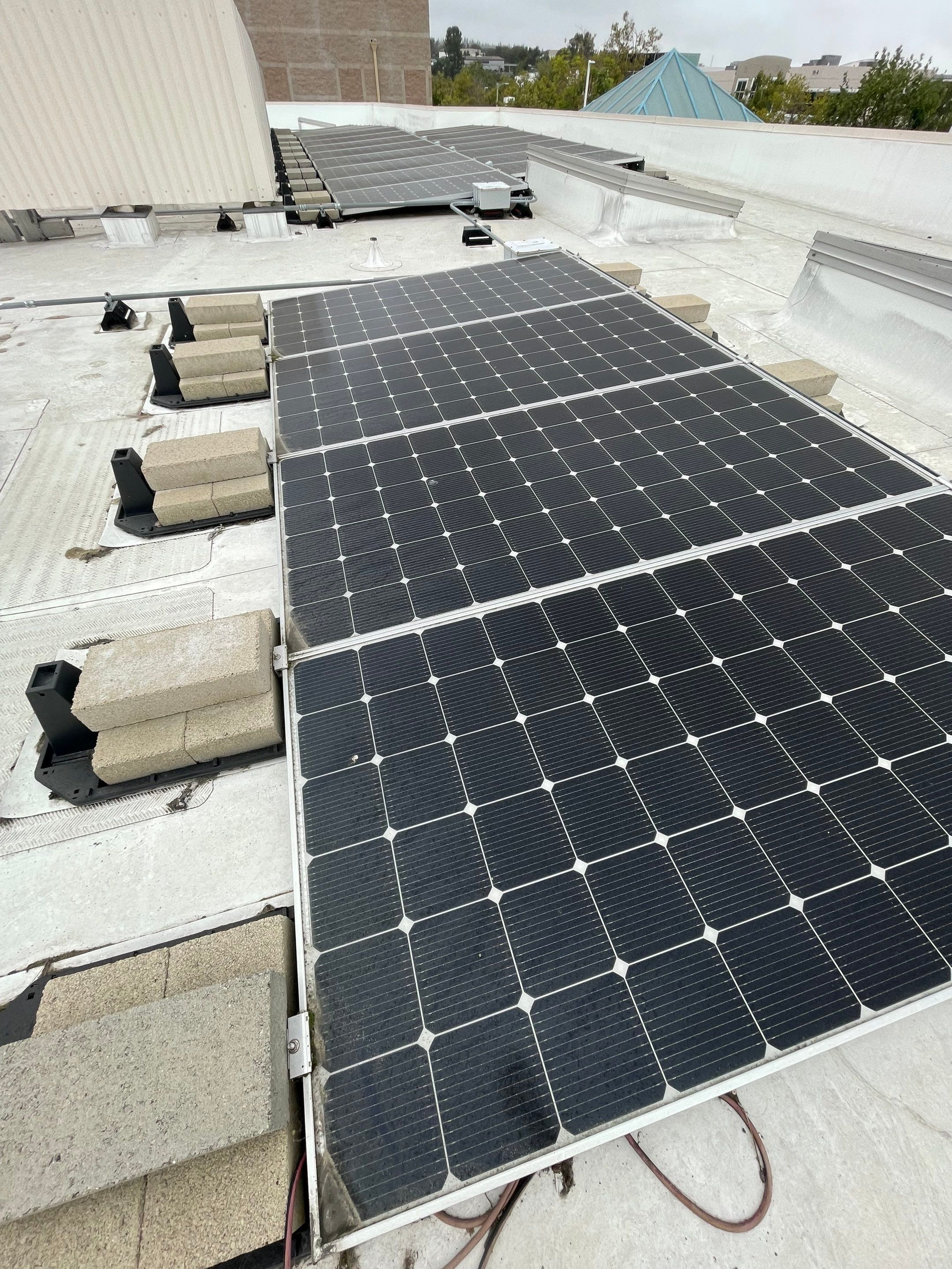 Commercial Solar Cleaning by Palm Coast Solar Cleaning