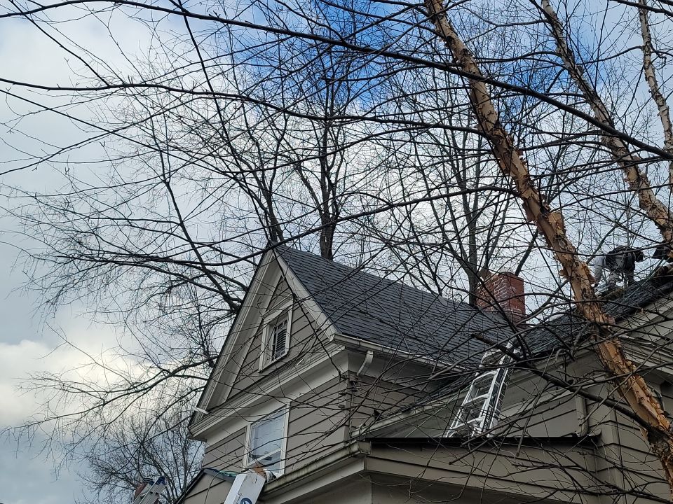 ATLAS PINNACLE COLOR: PRISTINE PEWTER DRIP EDGE: BLACK by Eagle Eye Roofing