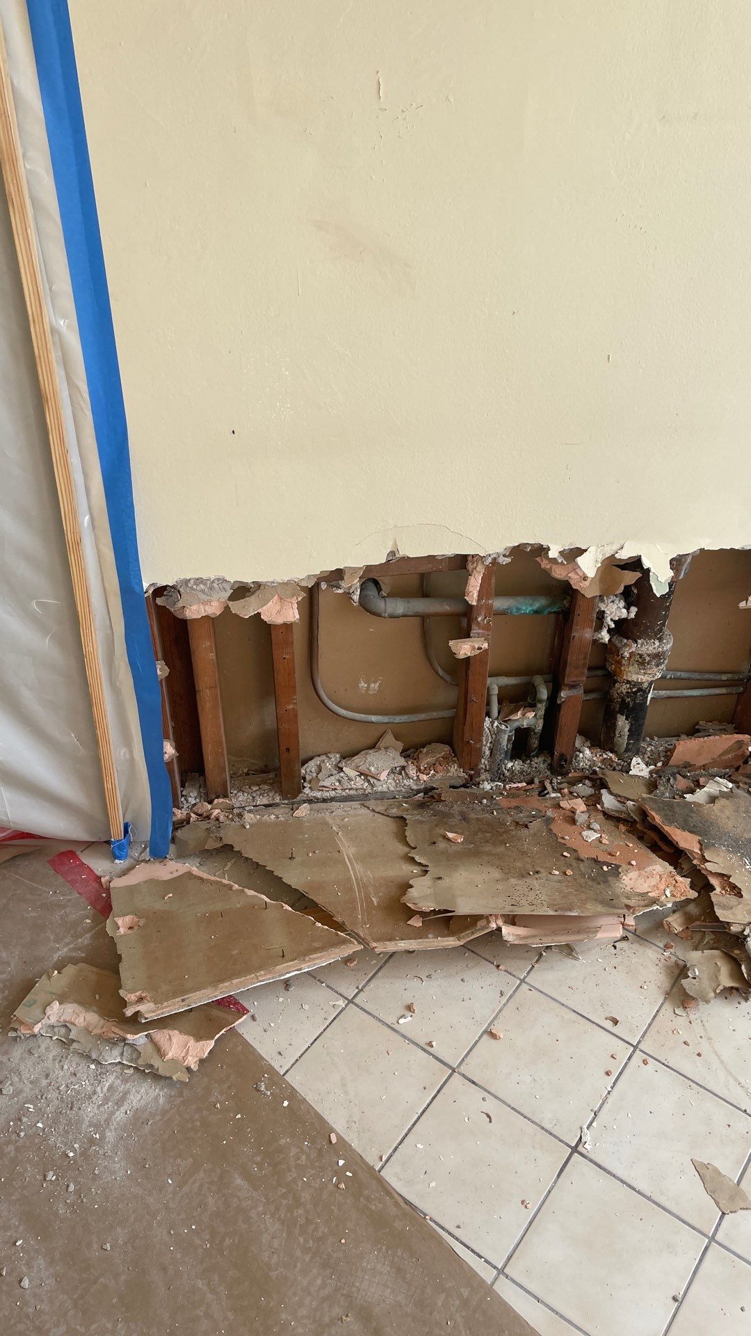 Mold Remediation  by THE RAPID TEAM