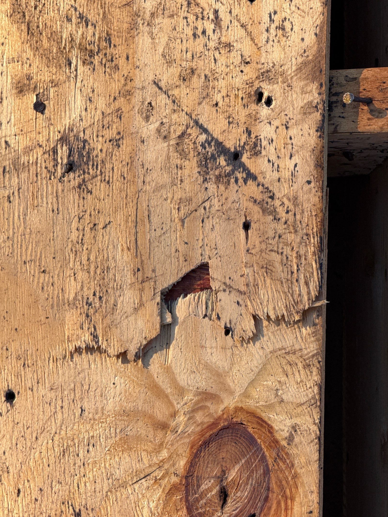 The Frees by United Contracting and Roofing