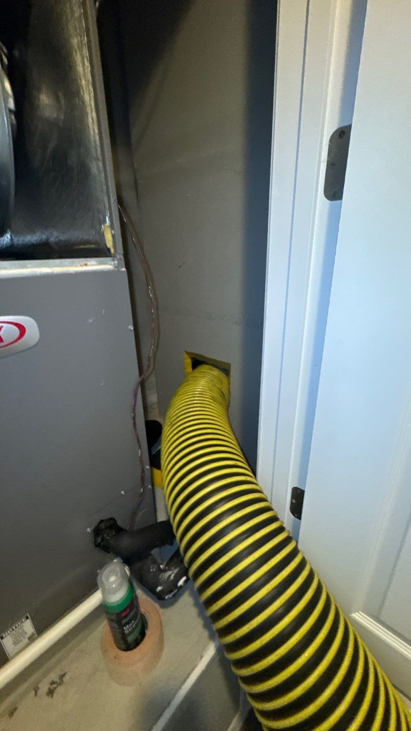 Air Duct and Dryer Vent Cleaning in Orlando by Hygienic Air, Inc