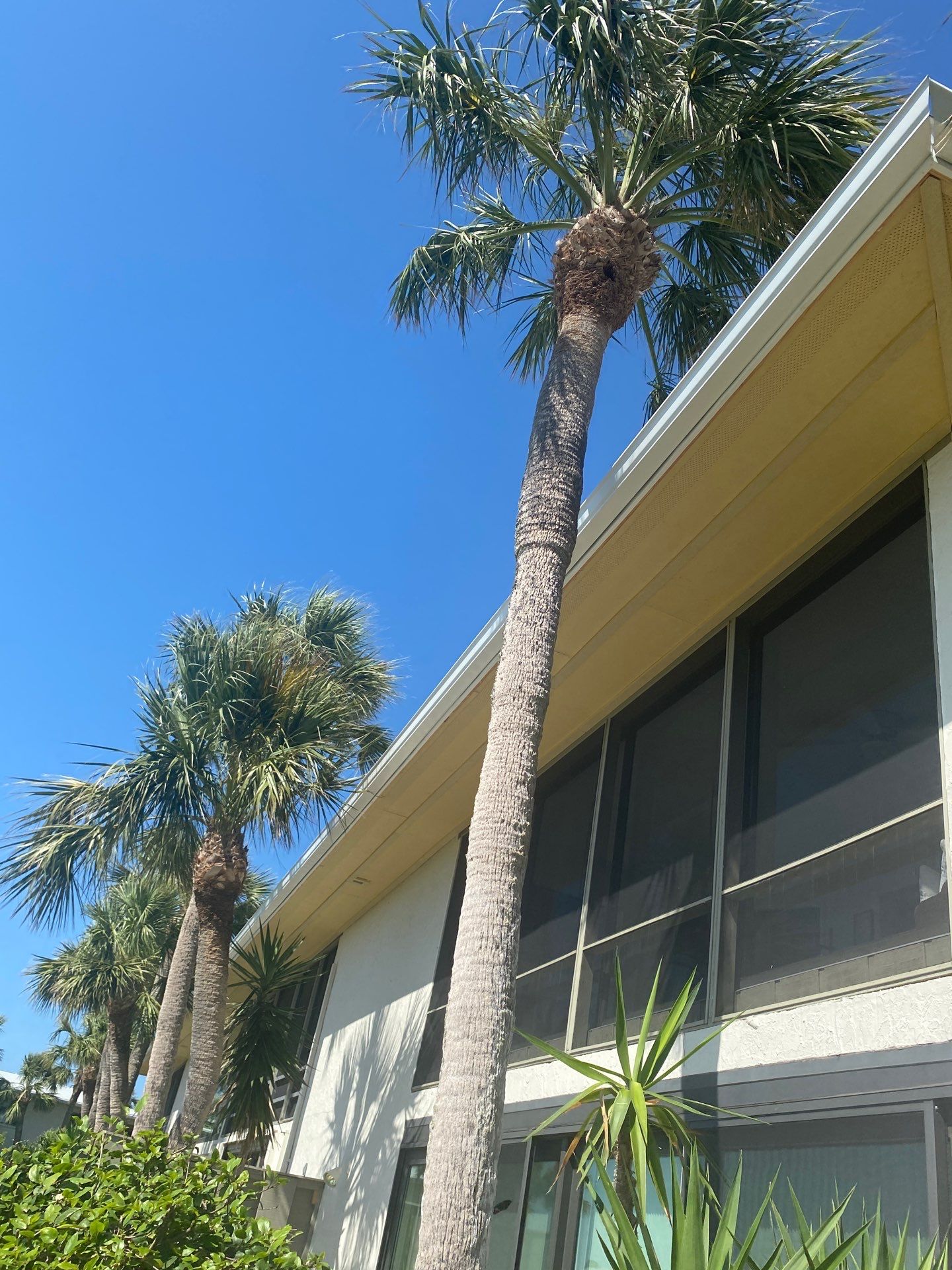 Commercial Gutter Systems for Businesses in Holmes Beach FL by Gutter Professors