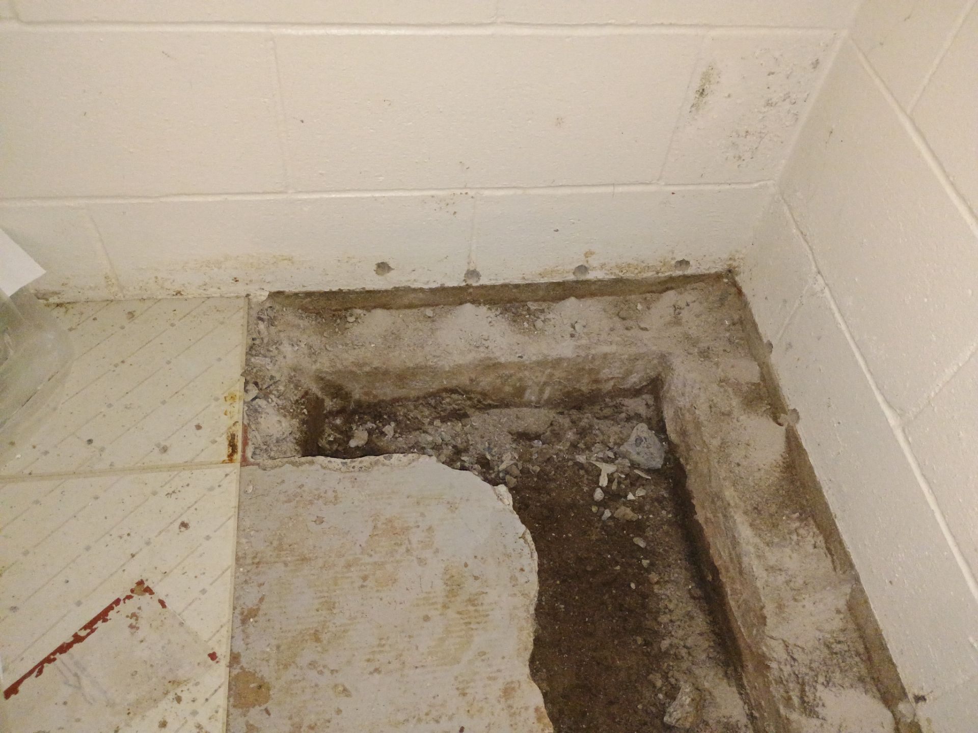 Helping Our Neighbor Gail by Waterproofing Northeast