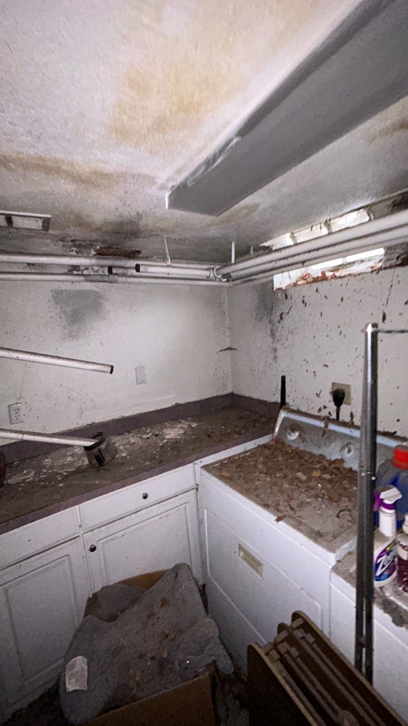 Mold Remediation by Accountable Home Services