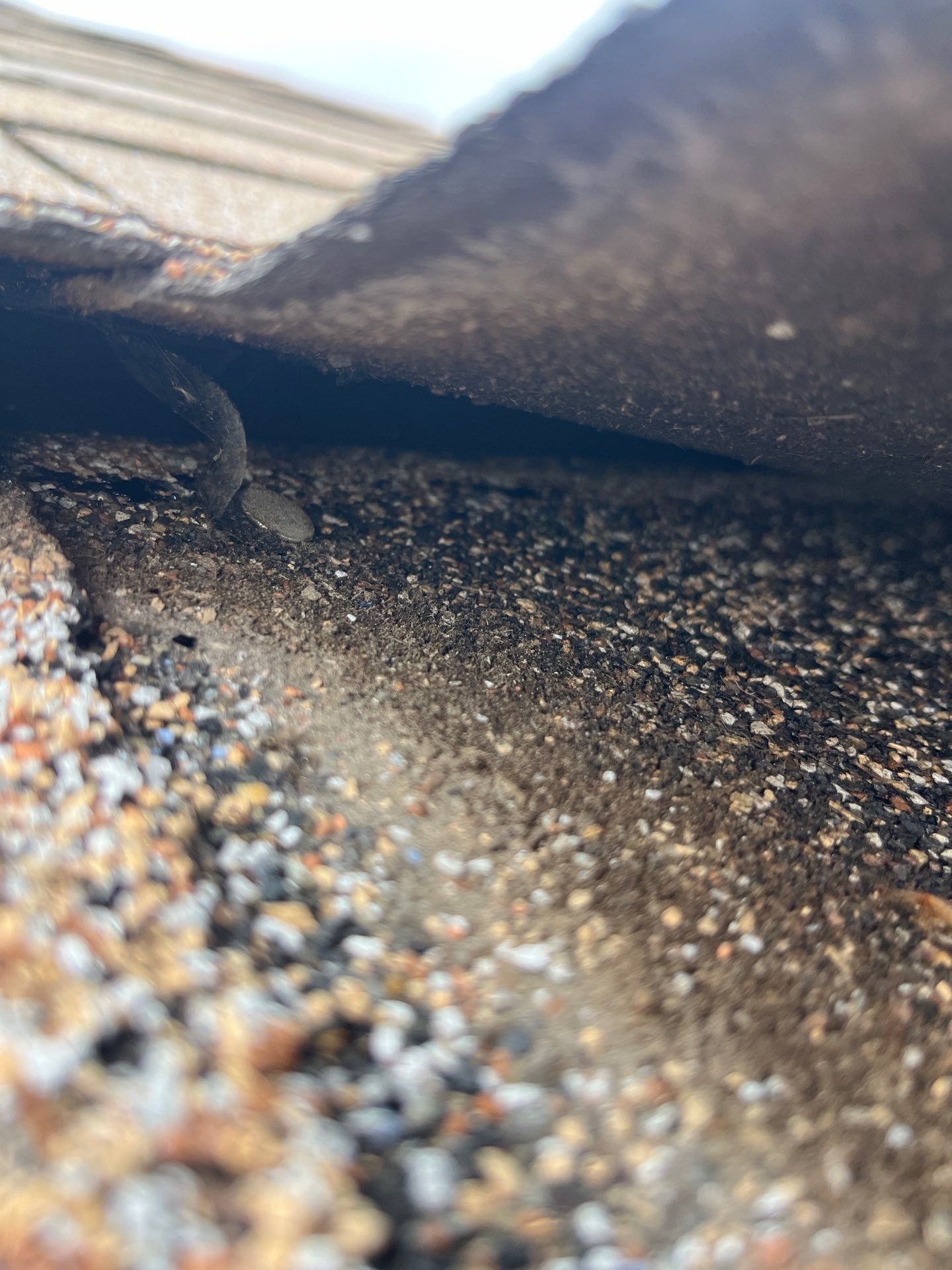 Project in Spokane by Connolly Construction Company