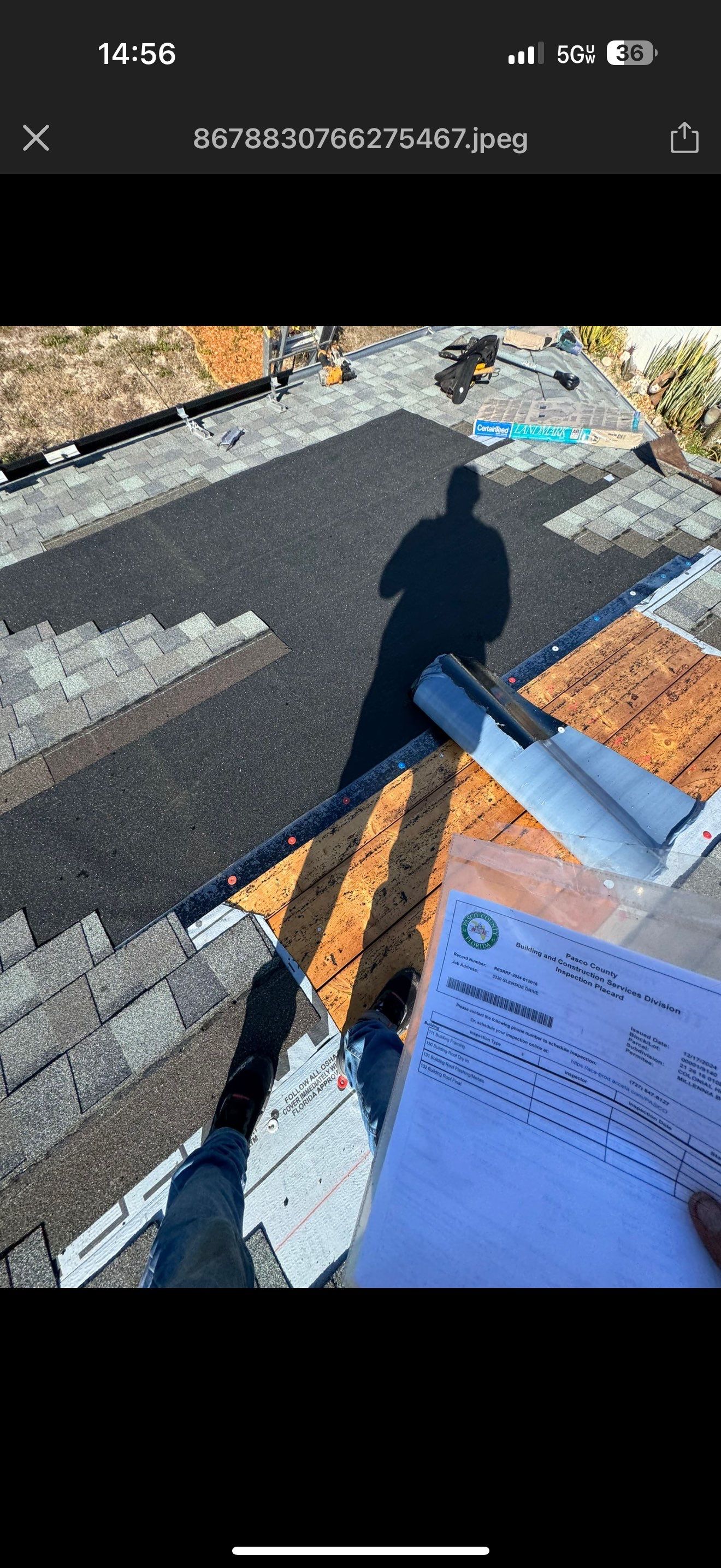 Silver Birch Shingles by Reimagine Roofing