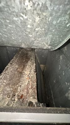 Air Duct and Dryer Vent Cleaning in The Villages