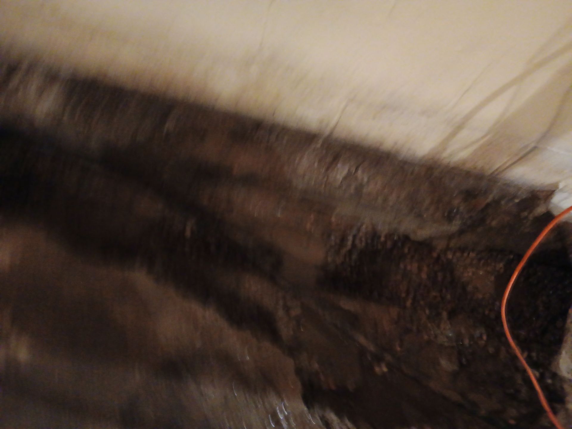 Drain Tile & Sump Pump for Kassie's Rental Property by Waterproofing Northeast