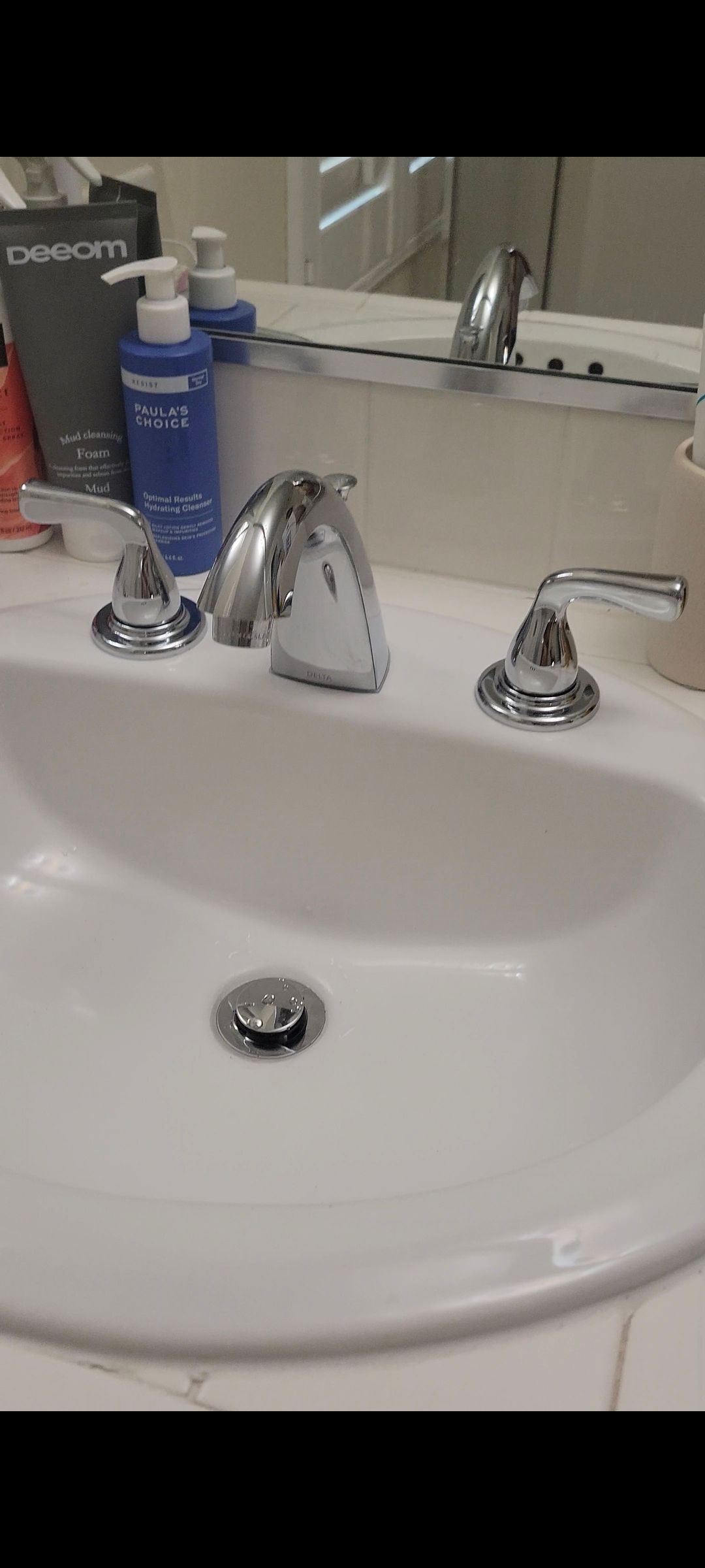 Upgrading their Home by Professional Plumbing Inc 