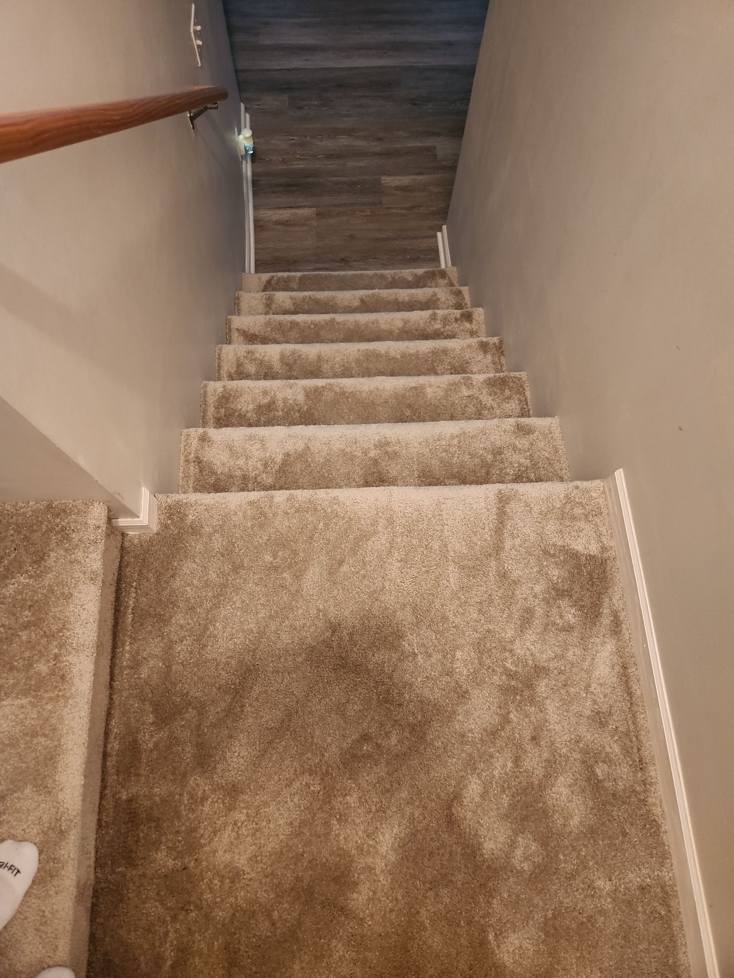 Abby Wenninghoff by FloorCo