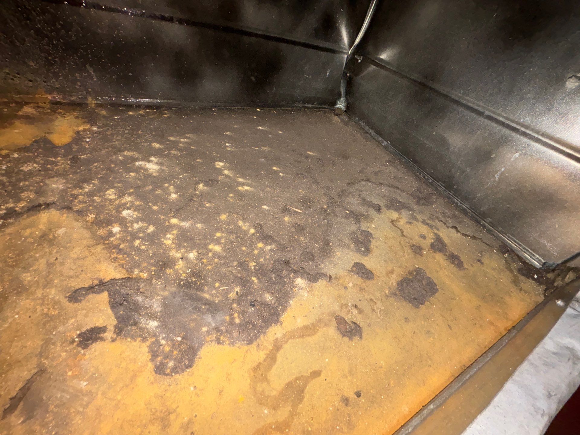 Commercial Air Duct Cleaning in Clermont by Hygienic Air, Inc