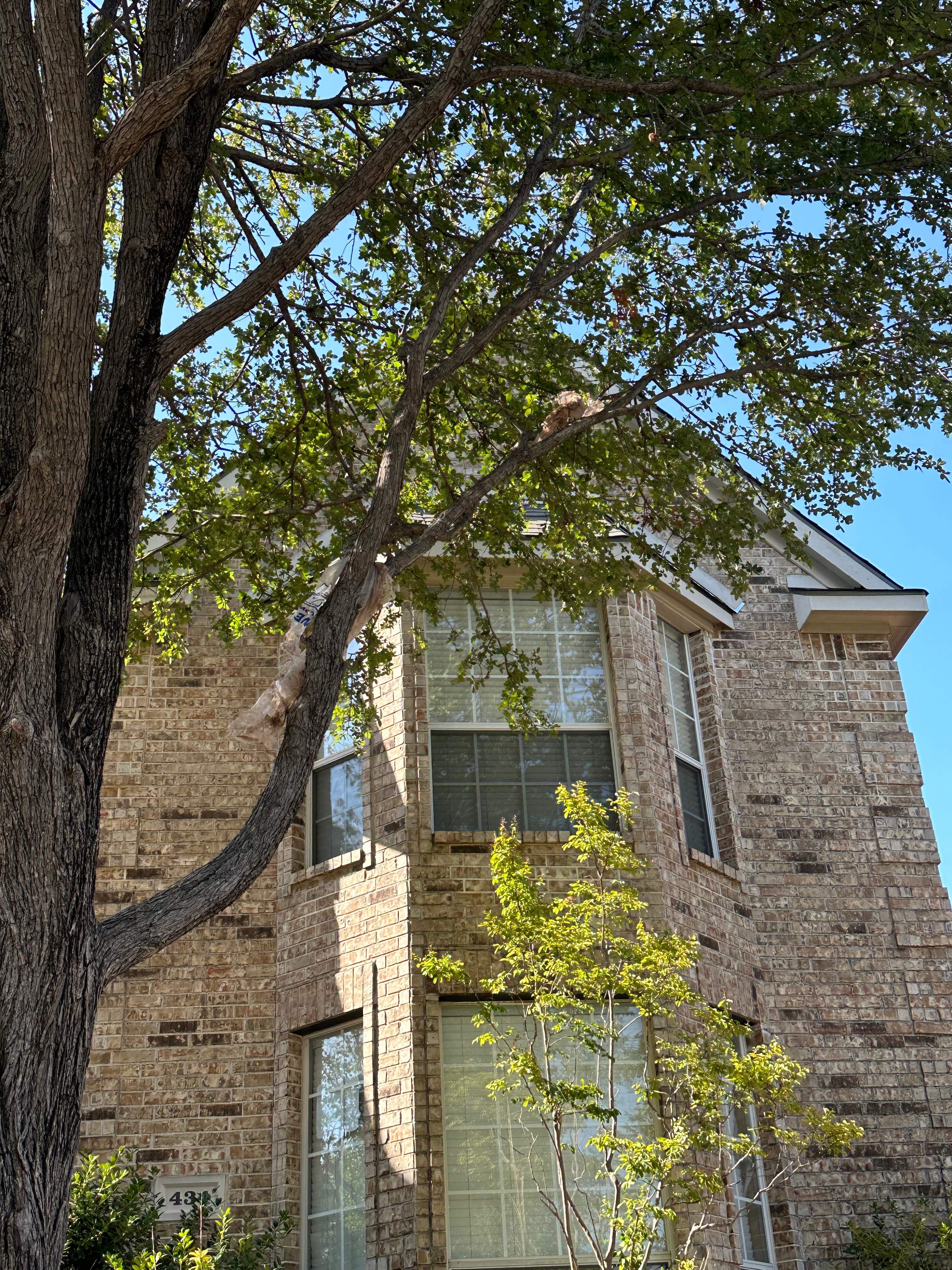 Property Repairs After Hail Storm Plano Texas by Eminent Roofing & Auto Hail Repair