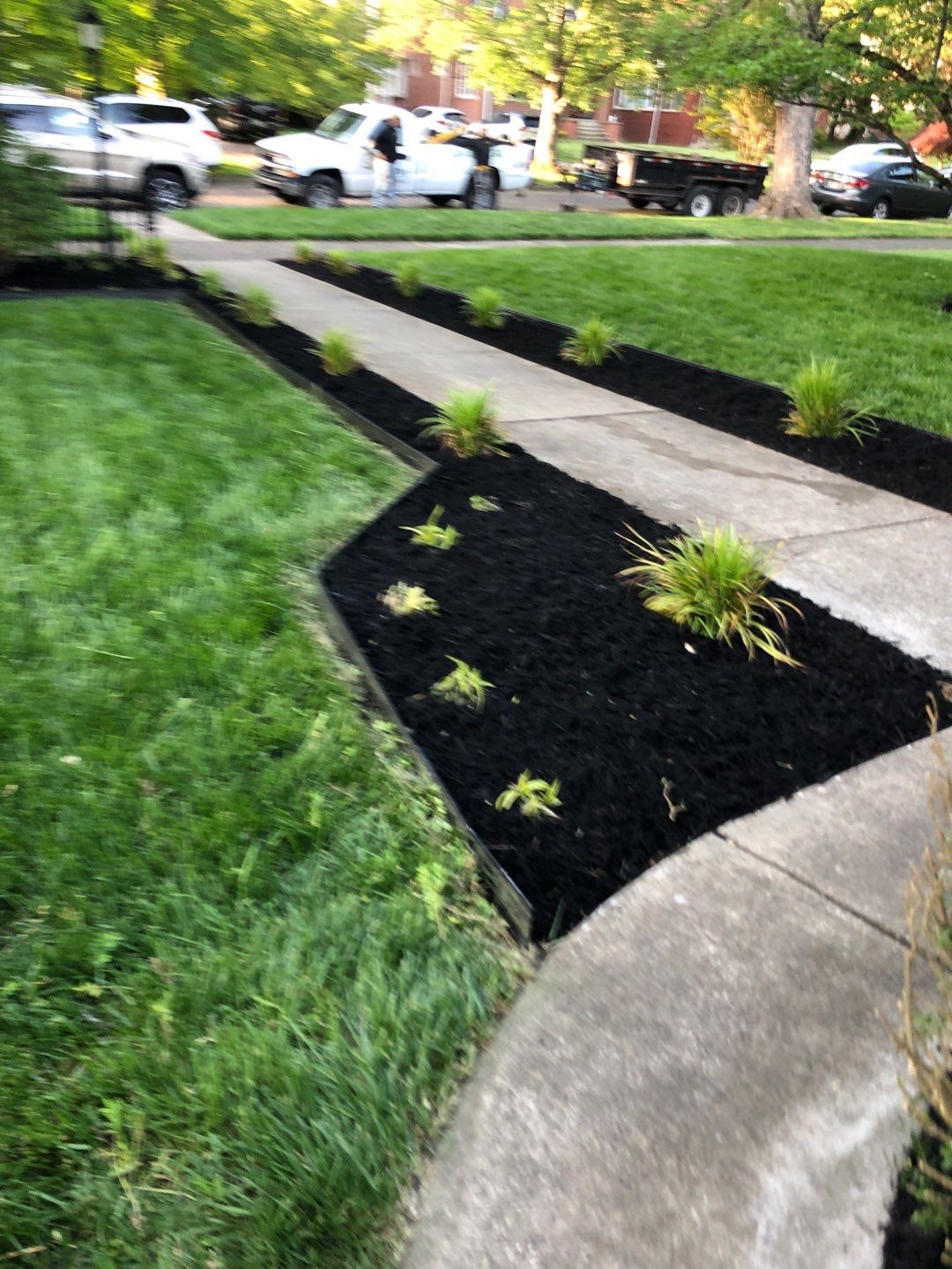 Liriope grasses, mulch and stone pavers by GrassBusters, Inc.