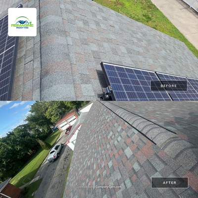 Tamko Shingles