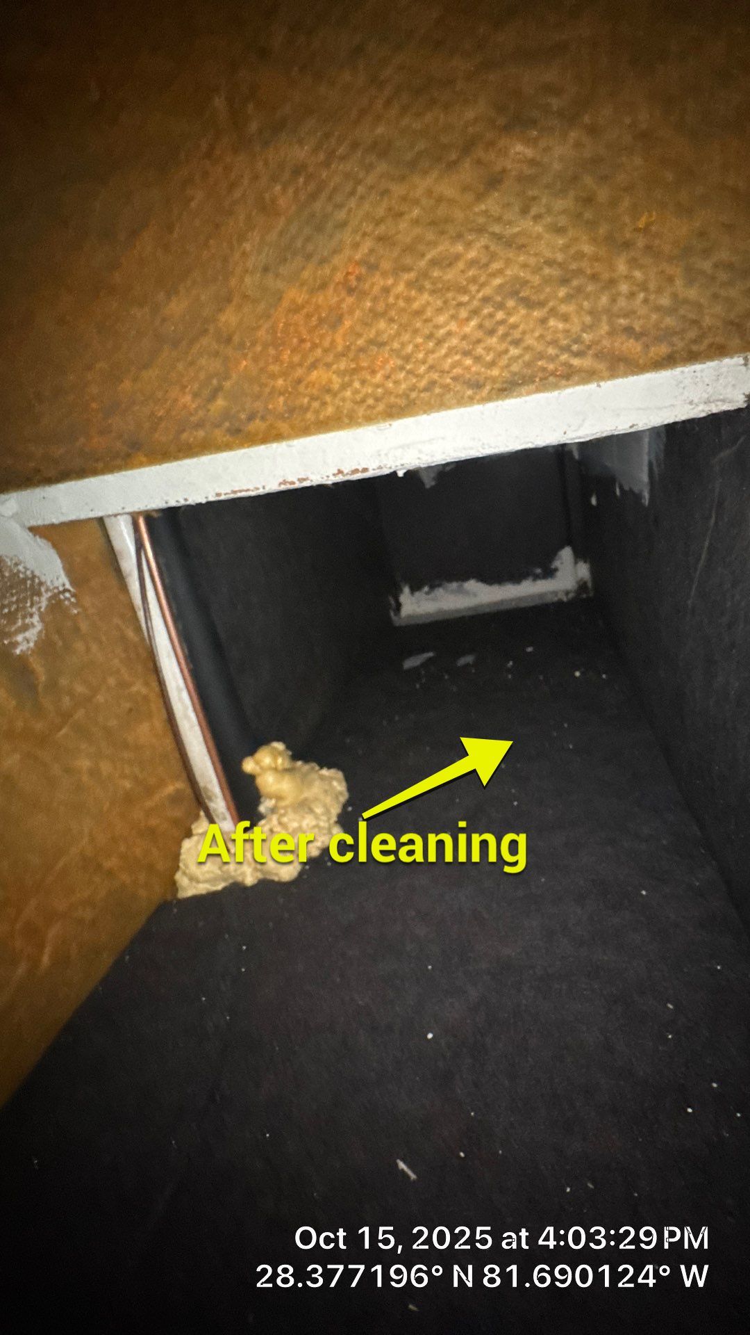 Air Duct Cleaning in Clermont by Hygienic Air, Inc