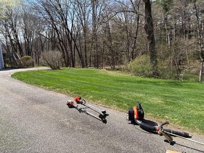 Professional Mowing and Property Cleanup Service in Guilford