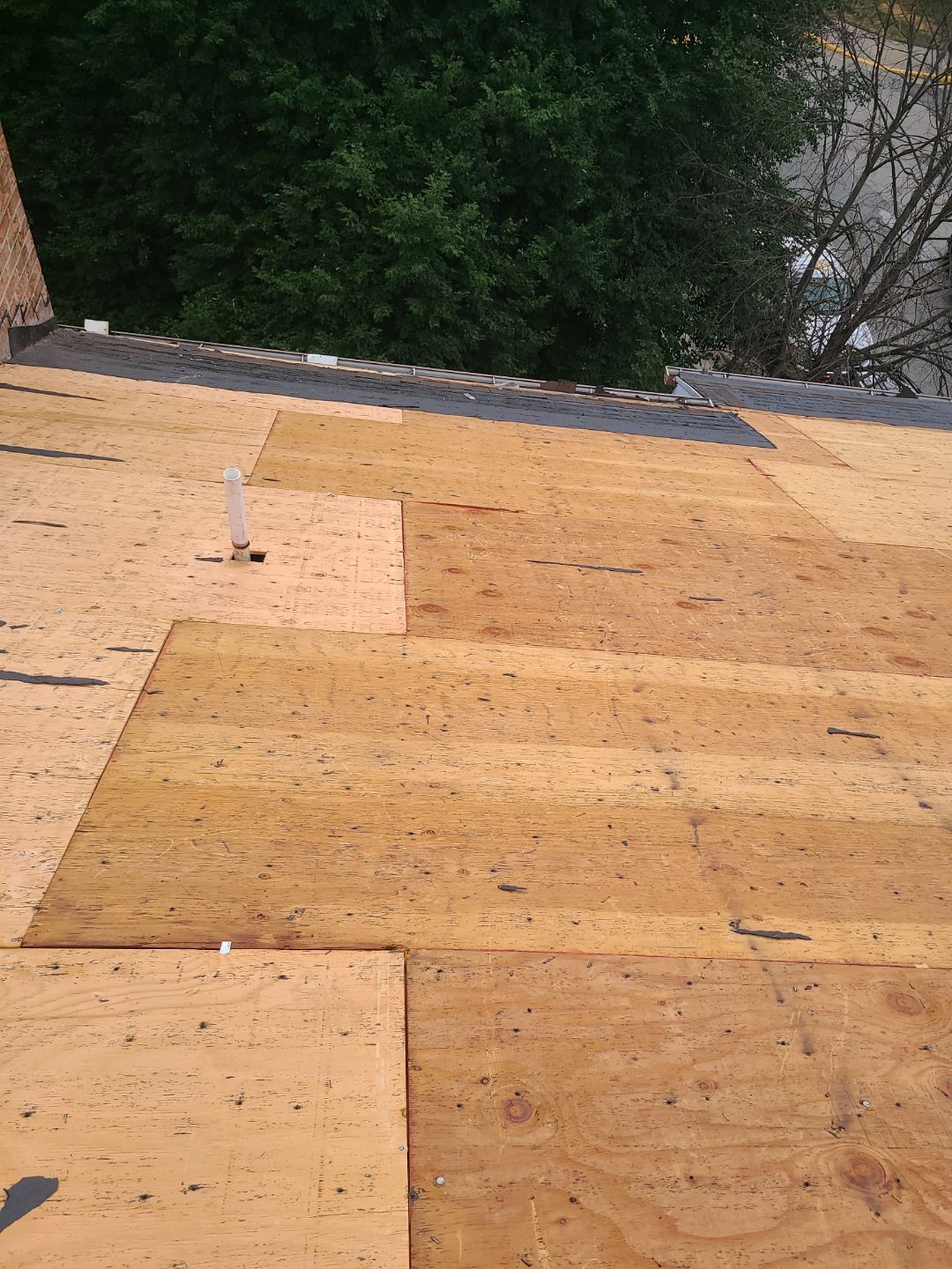 Alexandria: Roof Replacement with CertainTeed Landmark Pro in Max Def Burnt Sienna by RM Banning, Inc.