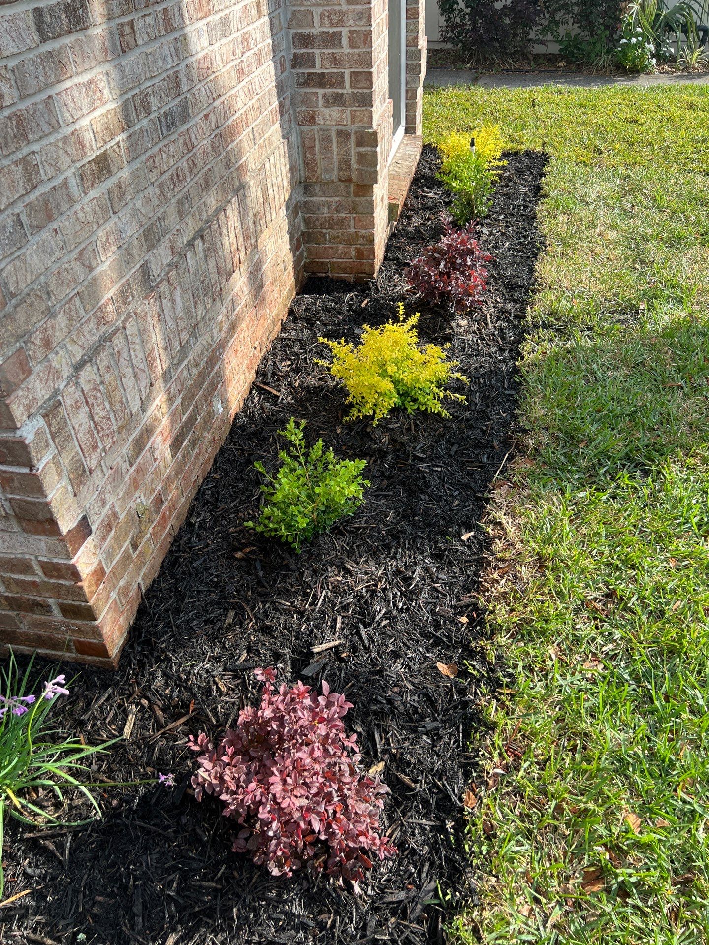 Landscape Install | Residential by ProGreen Services