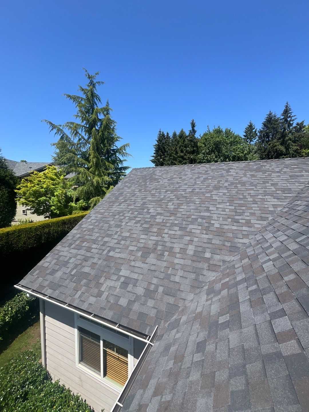 Residential Roofing Installation using Malarkey Vista (Color: Black Oak) by Orezona Building & Roofing Company, Inc.